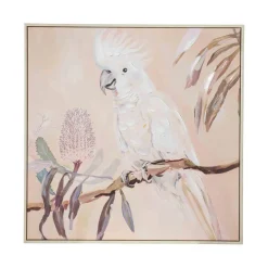 Clearance Bilde Parrot 70 x 70 cm Veggbilder