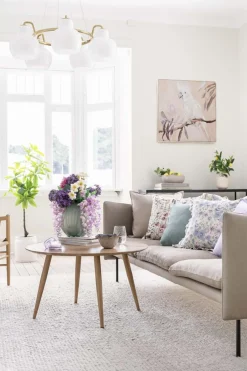 Clearance Bilde Parrot 70 x 70 cm Veggbilder