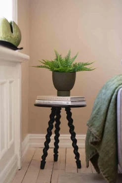 Best Bregne i potte Grønne Planter