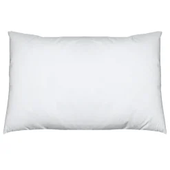 Hot Innleggspute 40 x 60 cm Innleggsputer