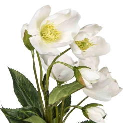 Hot Julerose, hvit Kunstige Blomster|Juletrær Og Julegrønt