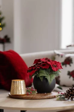 Hot Lyslykt Eyla 10cm Lykter|Julelys Og Lysestaker