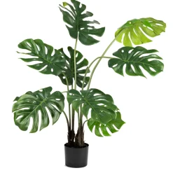 Clearance Monstera i potte 109 cm Grønne Planter
