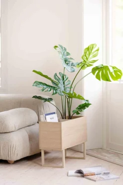 Clearance Monstera i potte 109 cm Grønne Planter