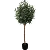 New Oliventre i potte H 120 cm Grønne Planter