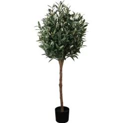 New Oliventre i potte H 120 cm Grønne Planter