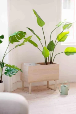 Discount Plante Banantre 123 cm Grønne Planter
