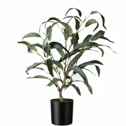 Outlet Plante Blader i potte Grønne Planter