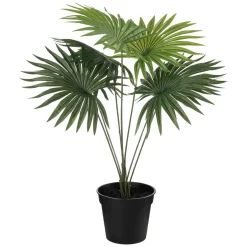Hot Plante Livistona 42cm Grønne Planter