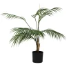 Clearance Plante Palme liten Grønne Planter