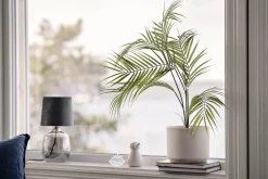 Clearance Plante Palme liten Grønne Planter