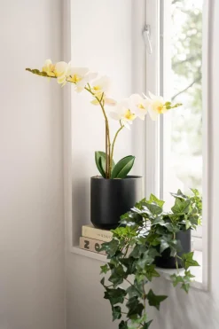 Hot Potte Avetia 11,5 cm, sort Blomsterpotter Og Pidestaller