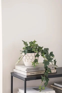 Sale Potte Jane 14 cm Blomsterpotter Og Pidestaller