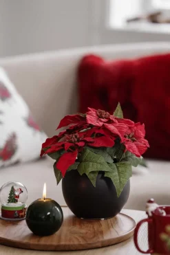 New Potte Julie 12,5 cm Blomsterpotter Og Pidestaller