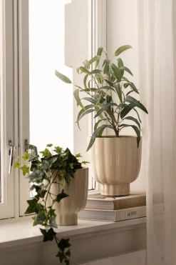 Potte Suri 19,5 cm Blomsterpotter Og Pidestaller