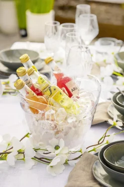 Best Vinkjøler Jane til 2 flasker Servering